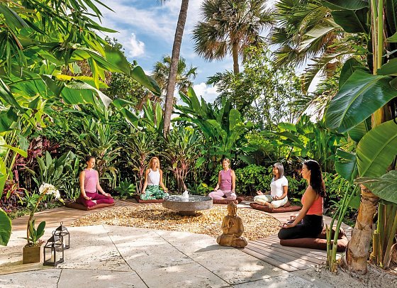 The Palms Hotel & Spa