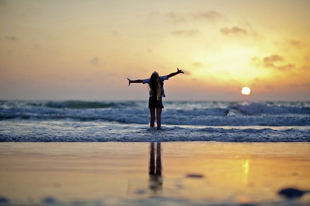 Springhill Suites Miami Airport South Blue Lagoonuth Blue Lagoon - Clearwater