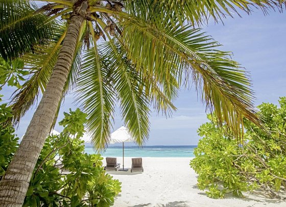 V Villas Maldives at Mirihi - MGallery Collection