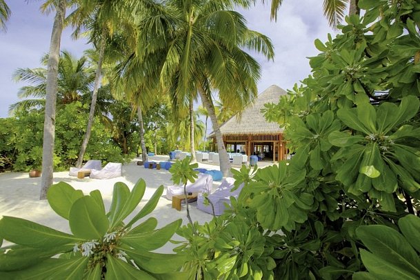 Mirihi Island Resort - 