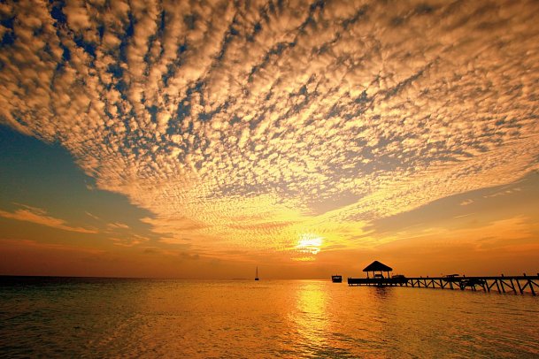 Mirihi Island Resort