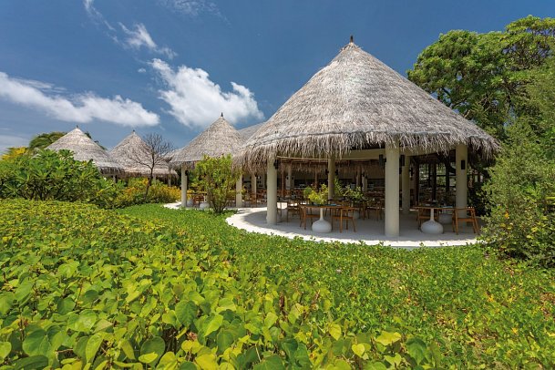 Cocoon Maldives