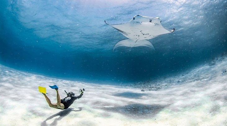 InterContinental Maldives Maamunagau Resort