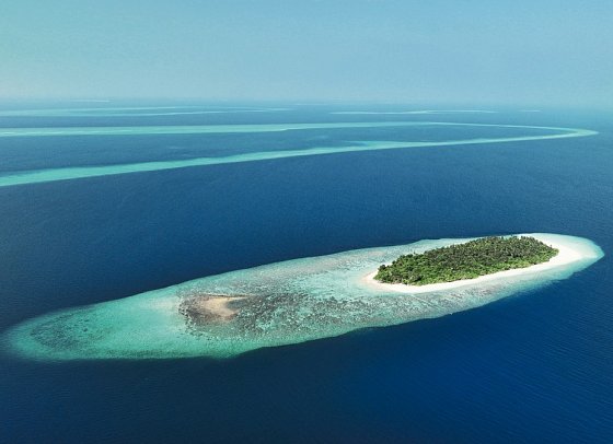 Avani+ Fares Maldives Resort