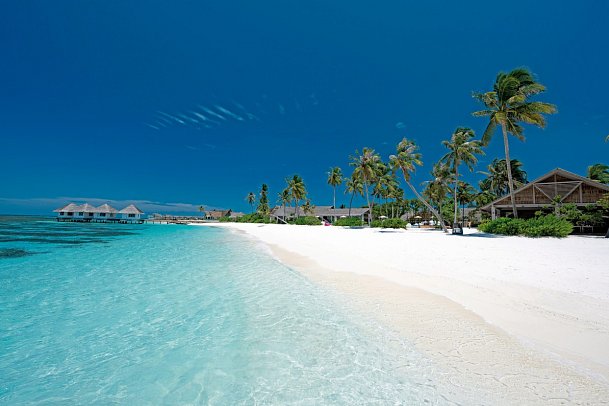 Cora Cora Maldives