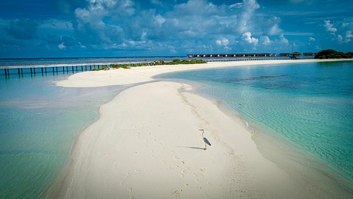 The Residence Maldives at Dhigurah
