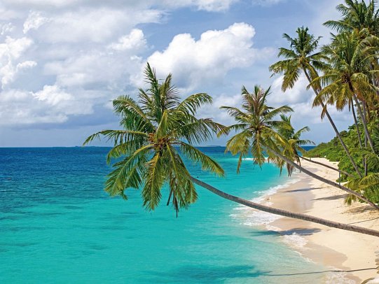Reethi Faru Resort