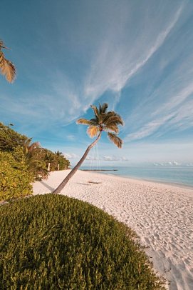 Drift Thelu Veliga Retreat