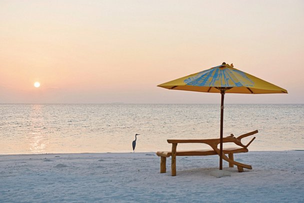 Drift Thelu Veliga Retreat