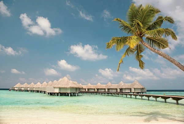 Drift Thelu Veliga Retreat