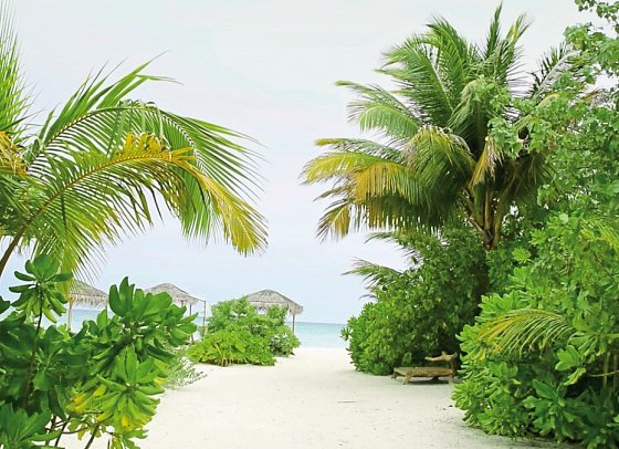 Drift Thelu Veliga Retreat