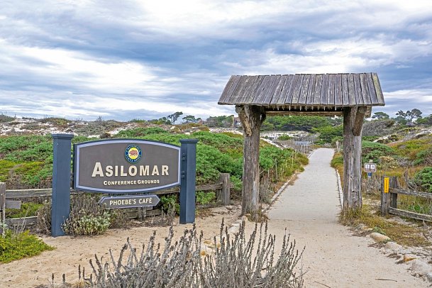 Asilomar State Beach & Conference Grounds