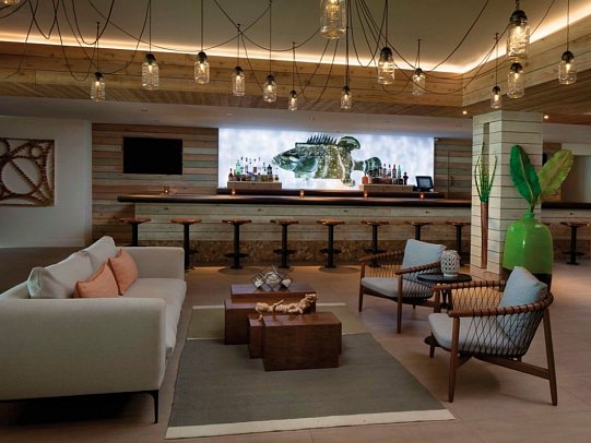 Amara Cay Resort - Bar