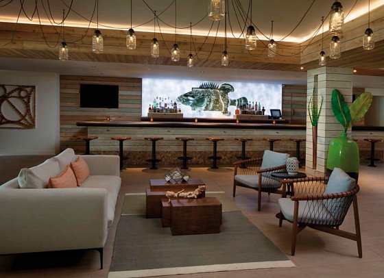 Amara Cay Resort - Bar