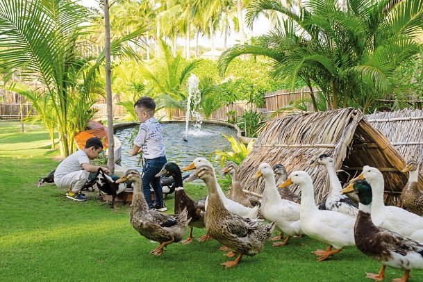 Fusion Resort Cam Ranh