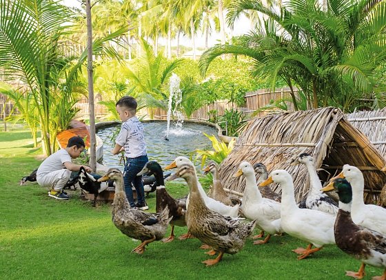 Fusion Resort Cam Ranh