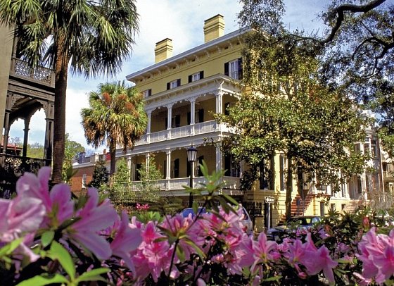 Eastcoast Explorer - Savannah