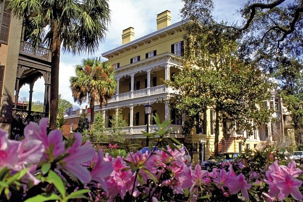Eastcoast Explorer - Savannah