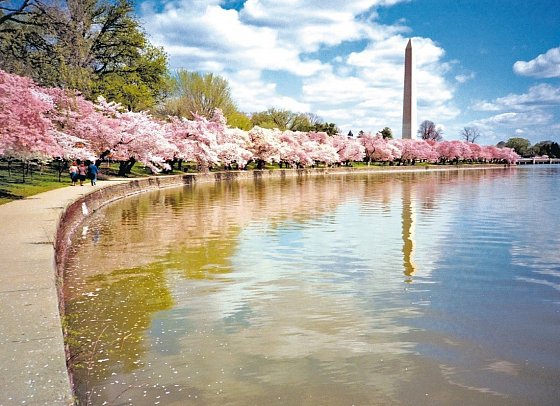 Eastcoast Explorer - Washington Monument, Washington D.C.