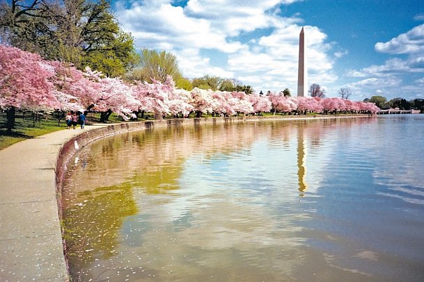 Eastcoast Explorer - Washington Monument, Washington D.C.