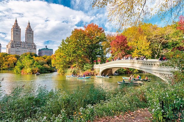Best of New York City mit Washington DC - Central Park