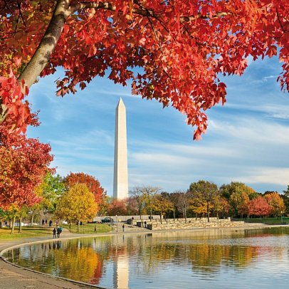 Best of New York City mit Washington DC - Washington Monument