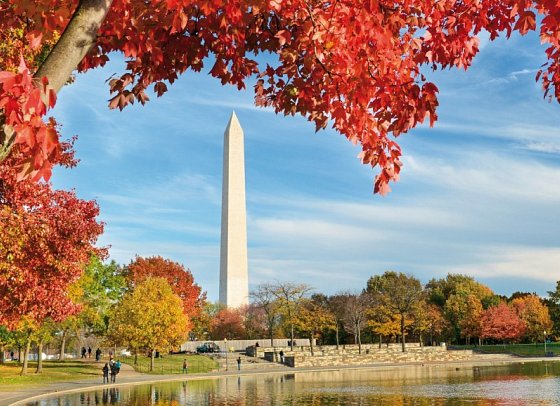 Best of New York City mit Washington DC - Washington Monument