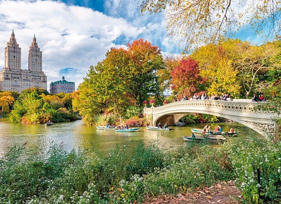 Best of New York City mit Washington DC - Central Park