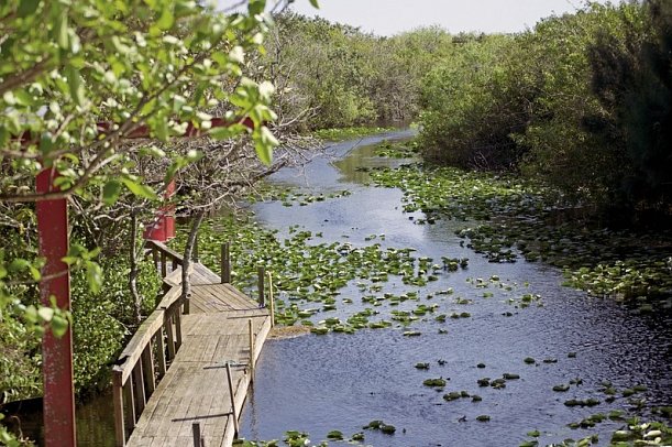 Manhattan Express & Florida Sunshine State inkl. Badeverlängerung (Standard) - Everglades