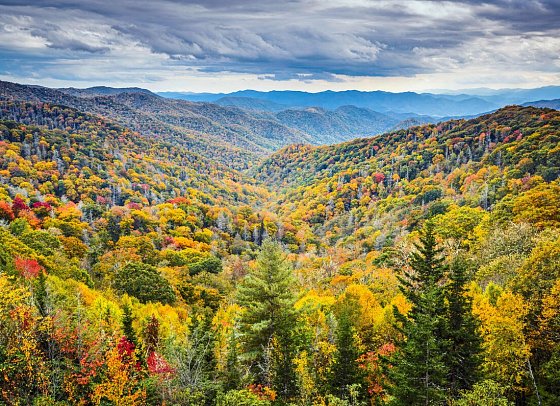 Megacity, Swing & Sun - Smoky Mountains Nationalpark