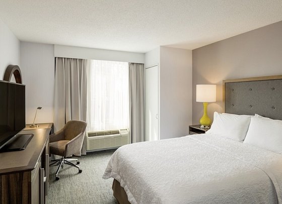 Hampton Inn Manhattan-Chelsea - Wohnbeispiel Standard One bed (Zimmercodierung UG1)