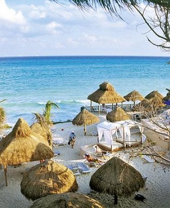 The Reef Playacar