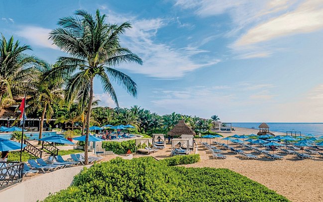 The Reef Playacar
