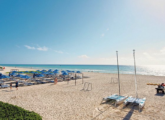 The Reef Playacar