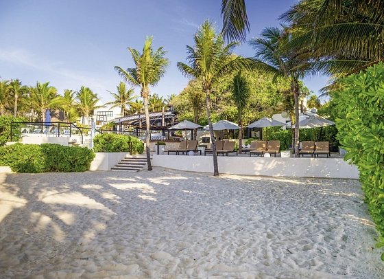 The Reef Playacar