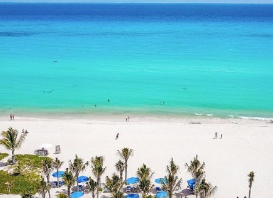 The Reef Playacar