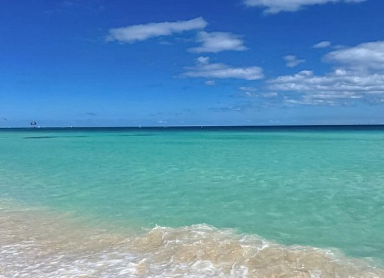 The Reef Playacar
