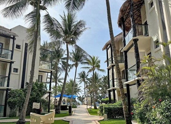 The Reef Playacar
