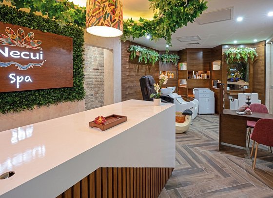 Viva Azteca by Wyndham