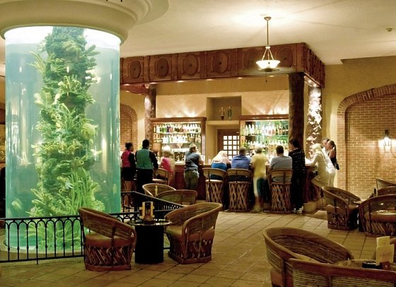 Iberostar Selection Paraíso Lindo