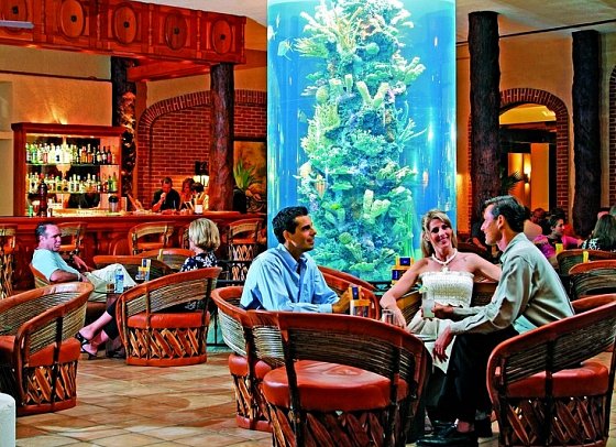 Iberostar Selection Paraíso Lindo