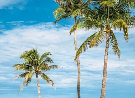 Pullman Phu Quoc Beach Resort