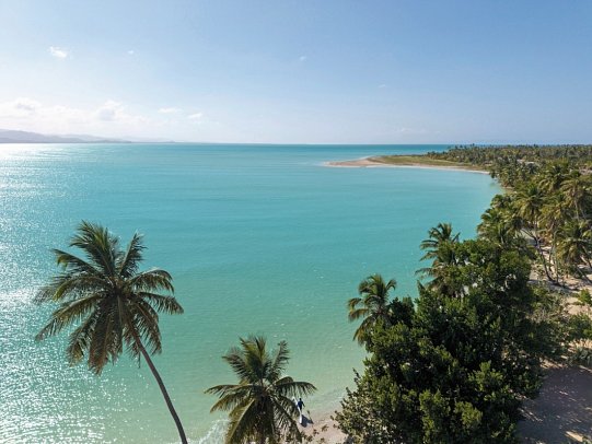 Zemi Miches Curio Collection by Hilton