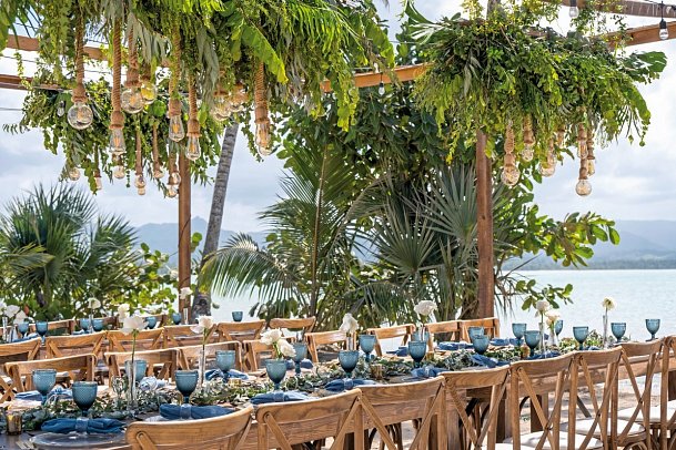 Zemi Miches Curio Collection by Hilton