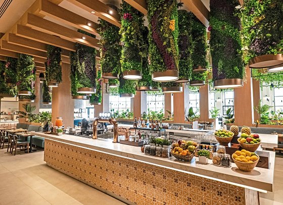 Hard Rock Hotel & Casino Punta Cana