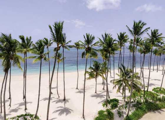 Hyatt Vivid Punta Cana
