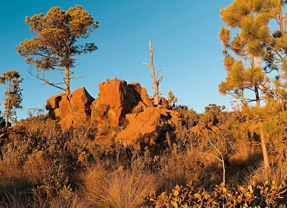 Naturabenteuer Dominikanische Republik - Pico Duarte