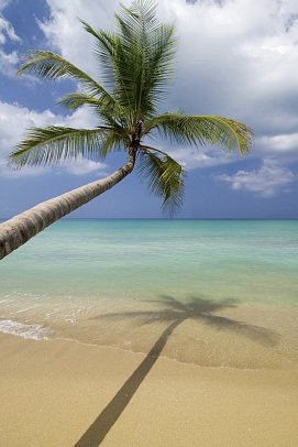 Highlights der Dominikanischen Republik - Las Terrenas