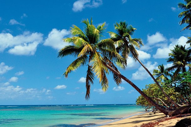 Highlights der Dominikanischen Republik