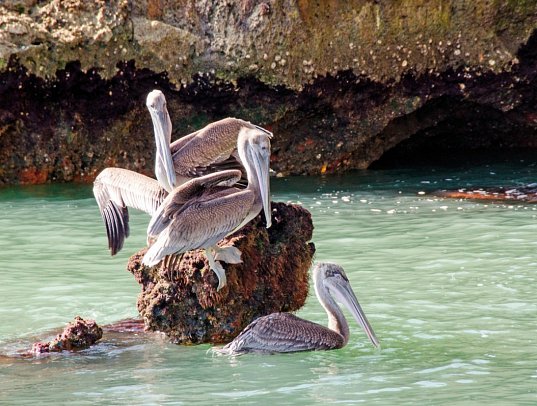 Highlights der Dominikanischen Republik - Nationalpark Los Haitises